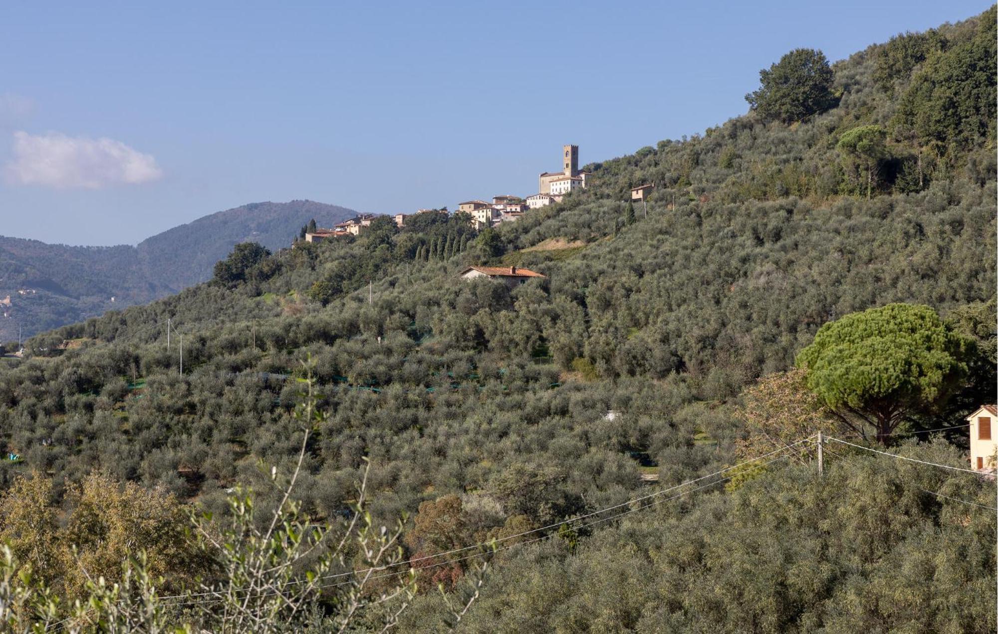 Nice home in Uzzano Pt with 3 Bedrooms, WiFi&Outdoor swimming pool Buitenkant foto